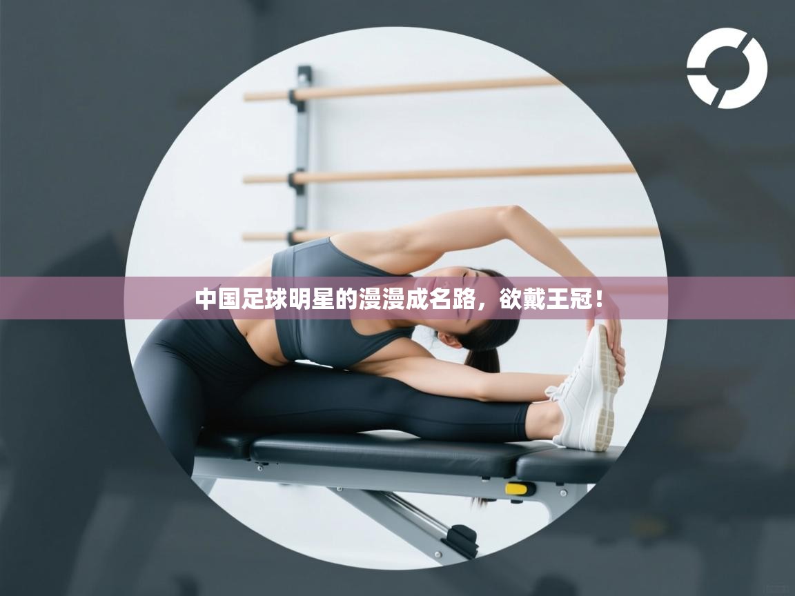 云开体育app网页版登录入口-中国足球明星的漫漫成名路,欲戴王冠! 第3张